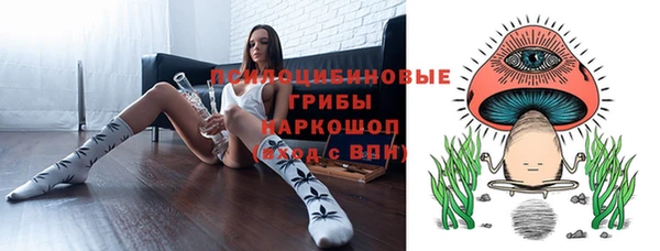 герыч Алексин