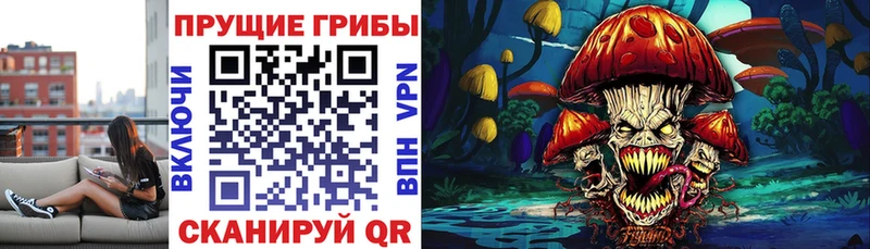 Псилоцибиновые грибы прущие грибы  наркотики  Кукмор 